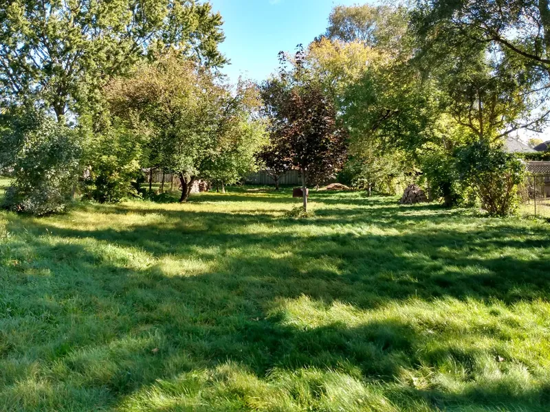 Empty lot before house was build